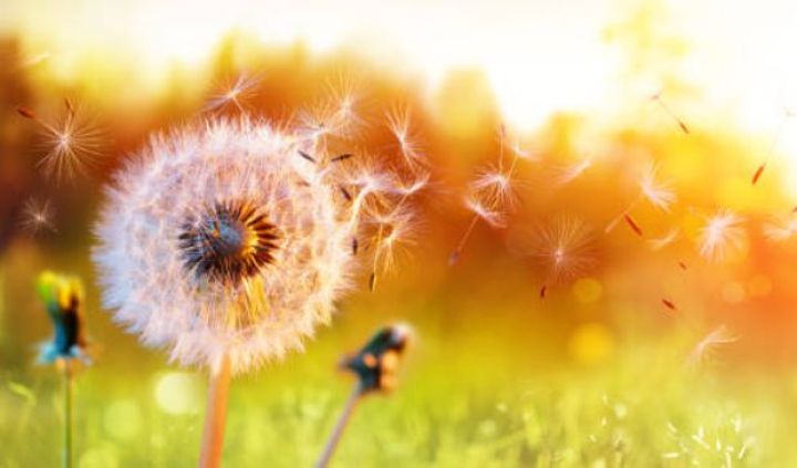 Sabah yağış yağacaq, külək əsəcək